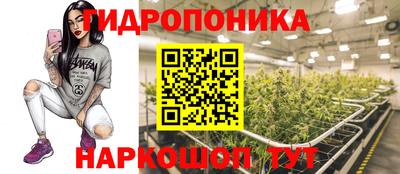крисы Бузулук