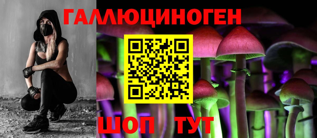 Галлюциногенные грибы MAGIC MUSHROOMS  Вход с VPN  Тихорецк 